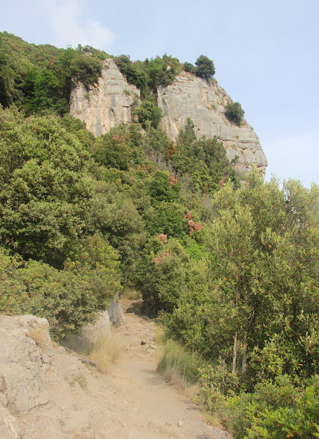 Тропа Богов. Sentieri degli Dei, image of landscape/habitat.