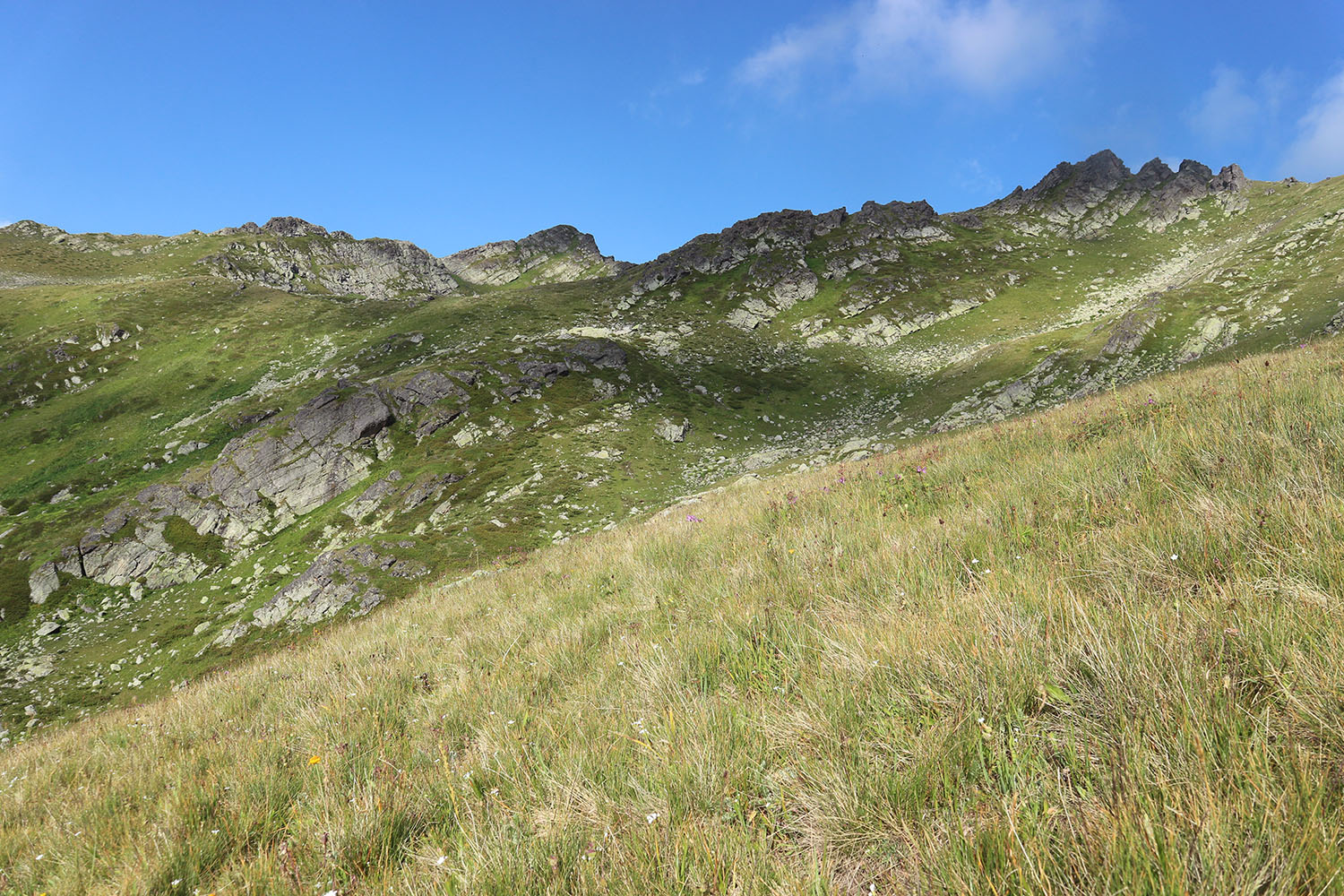 Гора Загедан Скала, image of landscape/habitat.