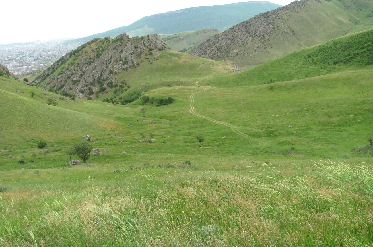 Хребет Нарат-Тюбе, image of landscape/habitat.