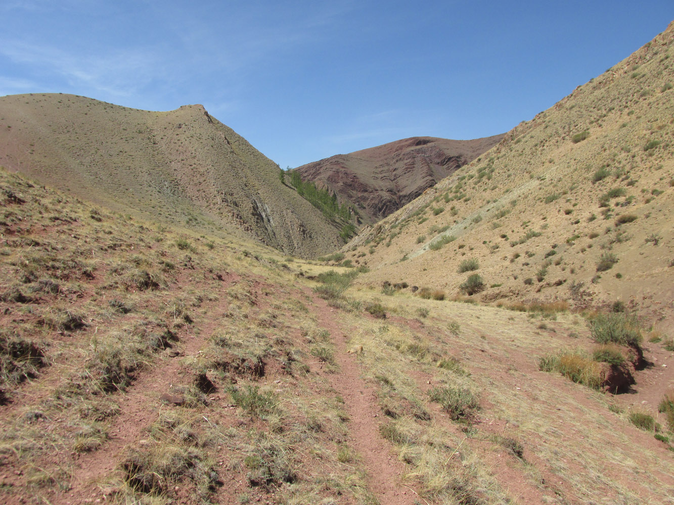 Изгиб реки Кызылшин, image of landscape/habitat.