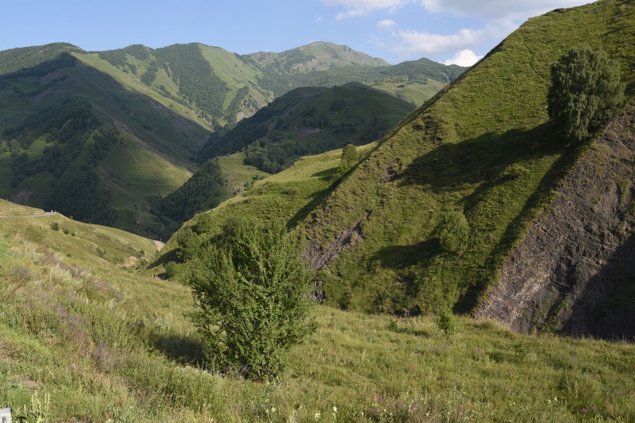 Холм Иссаззайчу, image of landscape/habitat.