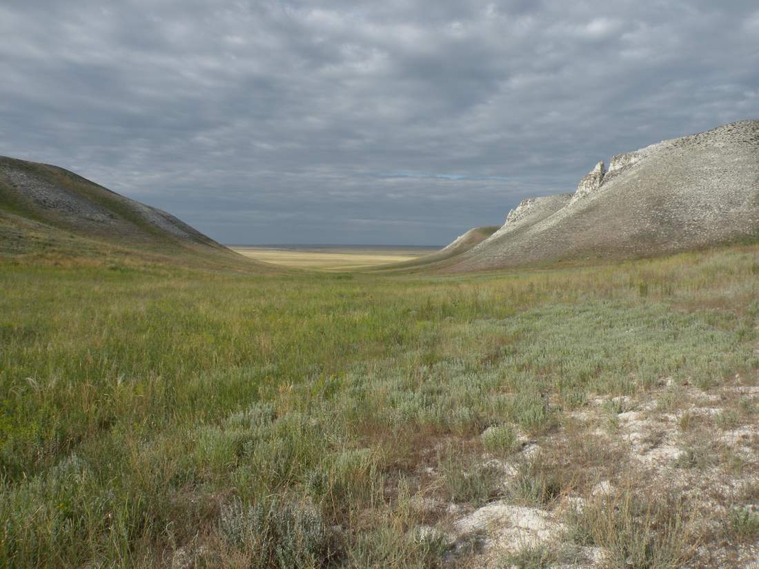 Ишкаргантау, image of landscape/habitat.