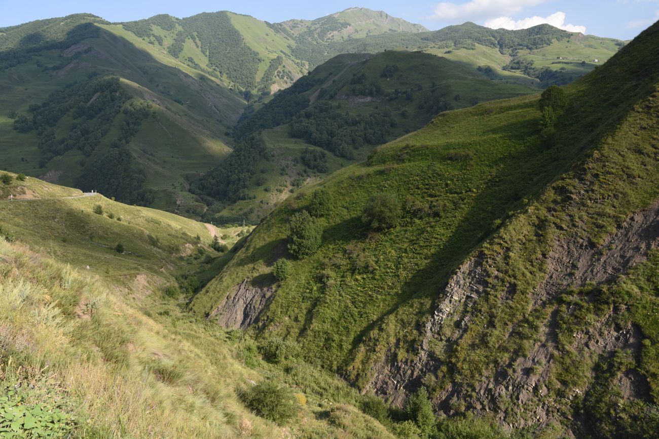 Холм Иссаззайчу, image of landscape/habitat.