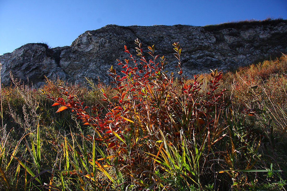 Порт Байкал, image of landscape/habitat.