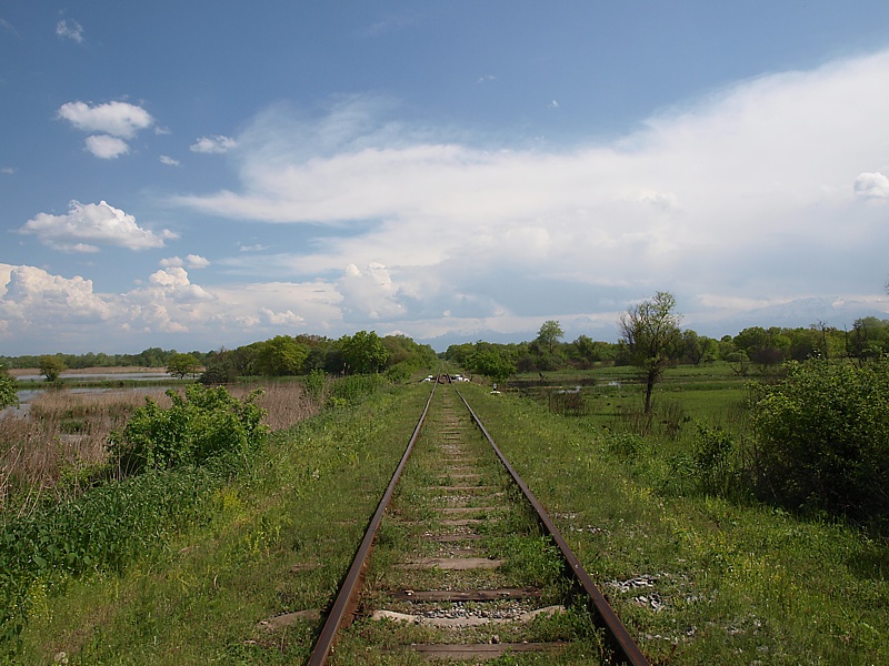 Север Осетинской равнины, image of landscape/habitat.