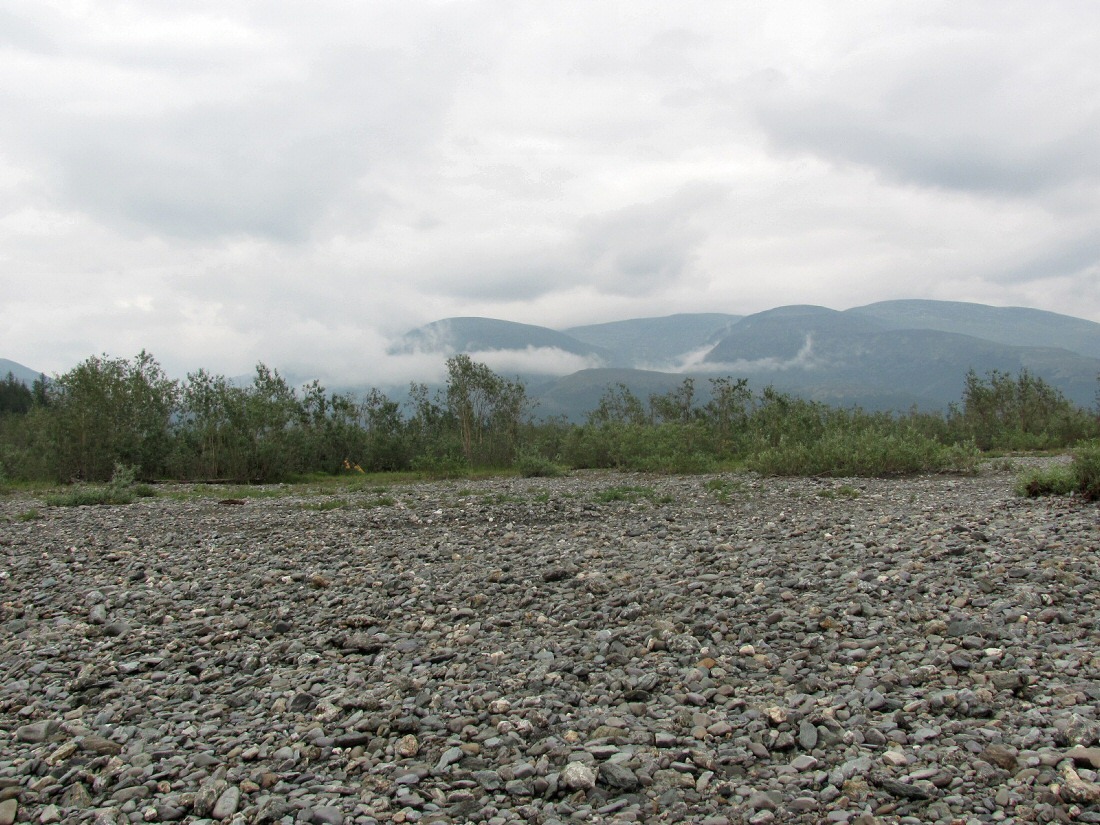 Собь у устья Кемьрезьрузь, image of landscape/habitat.