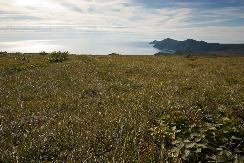 Полуостров Старицкого, image of landscape/habitat.