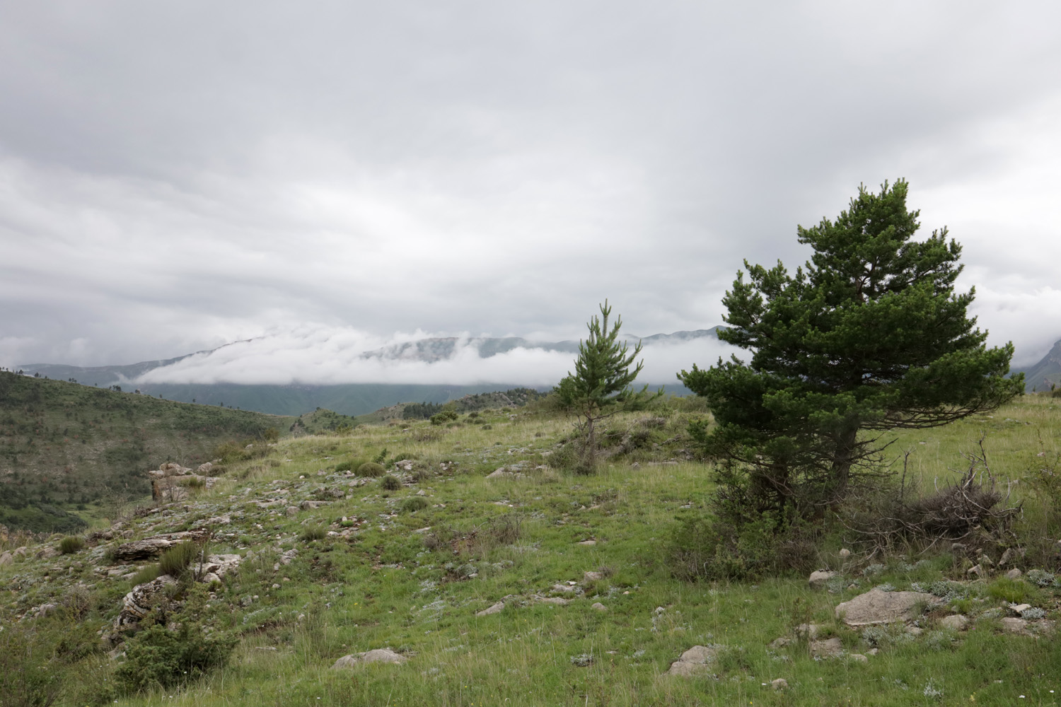 Цудахар (Горный ботсад и рядом), image of landscape/habitat.