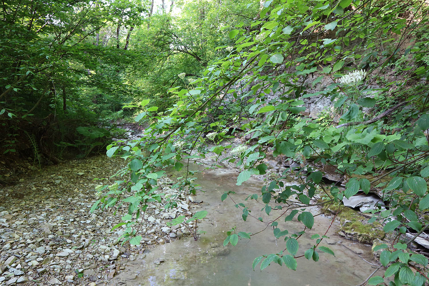 Темрючки, image of landscape/habitat.