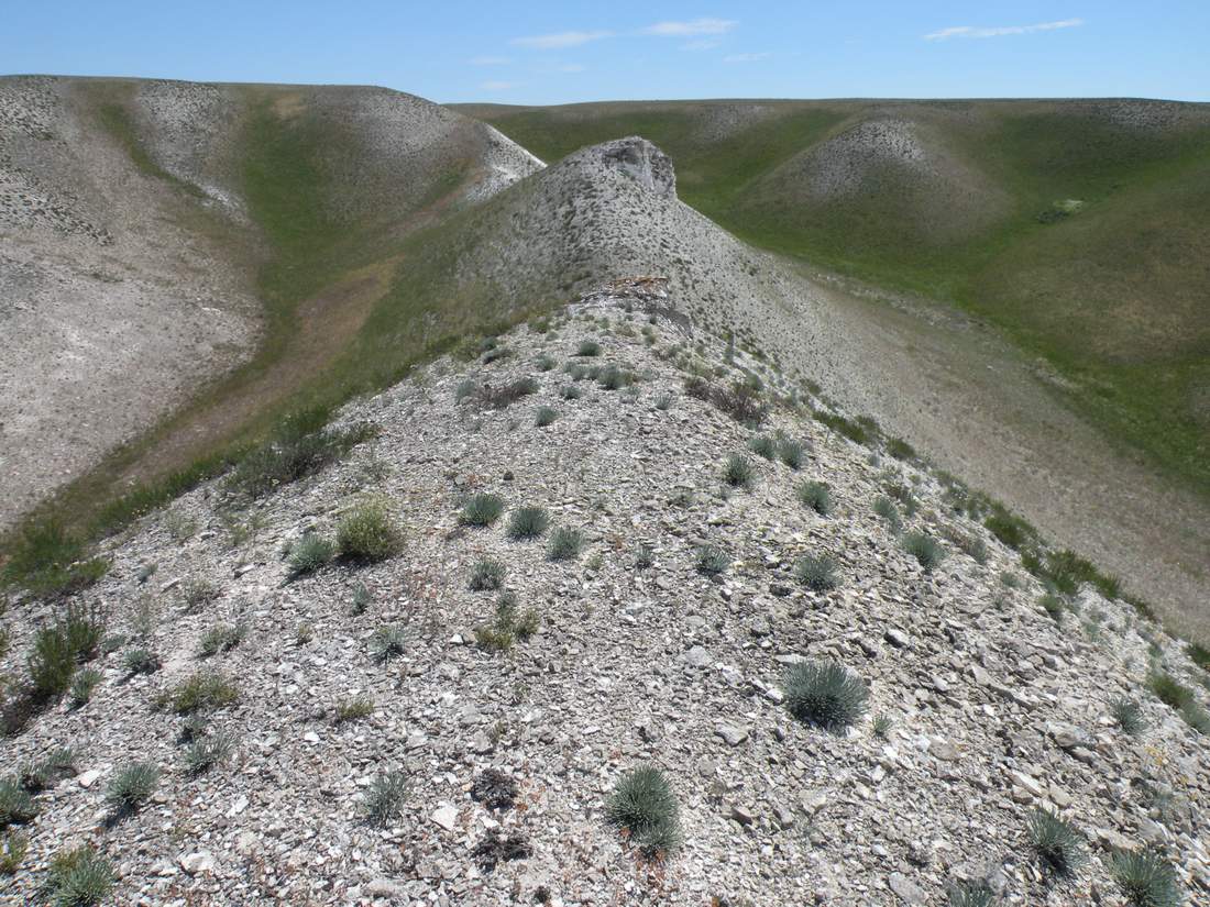 Ишкаргантау, image of landscape/habitat.