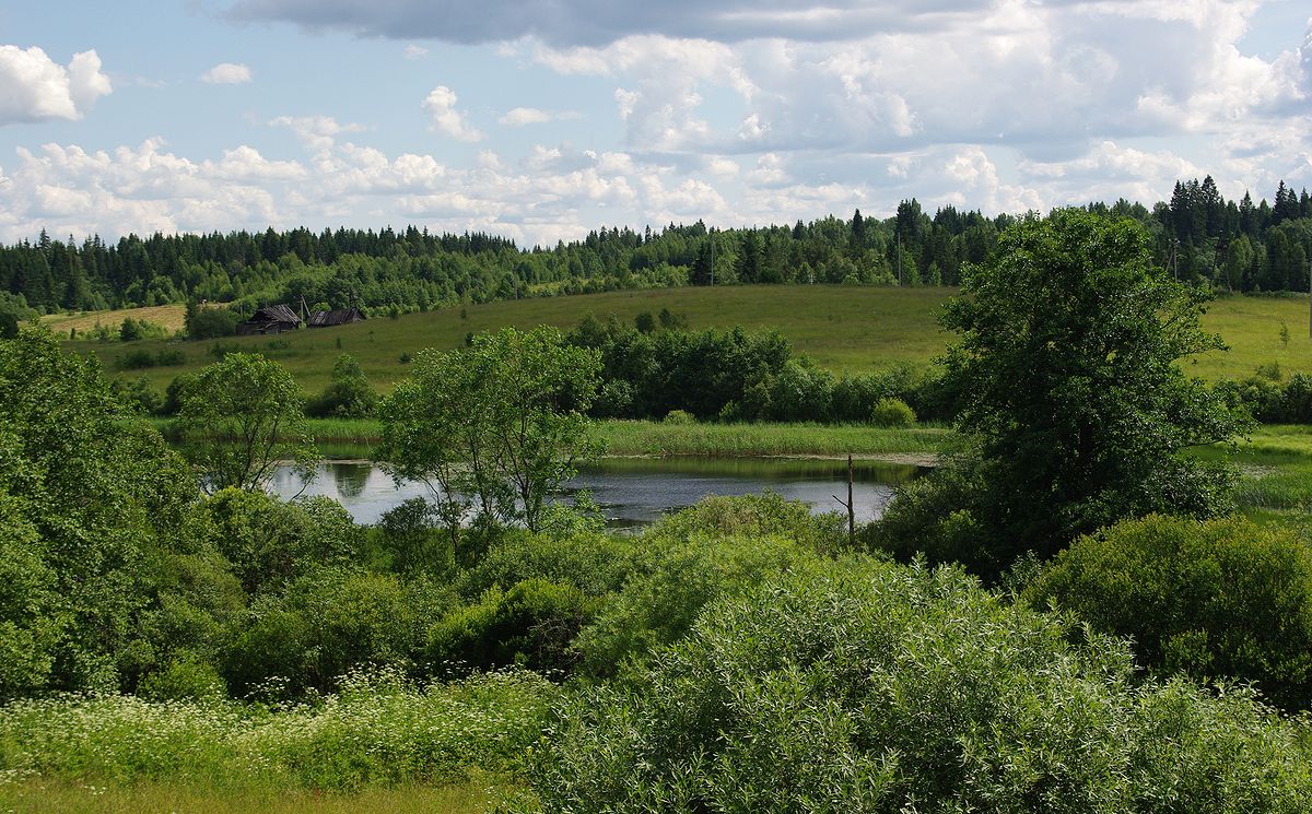 Пено, image of landscape/habitat.