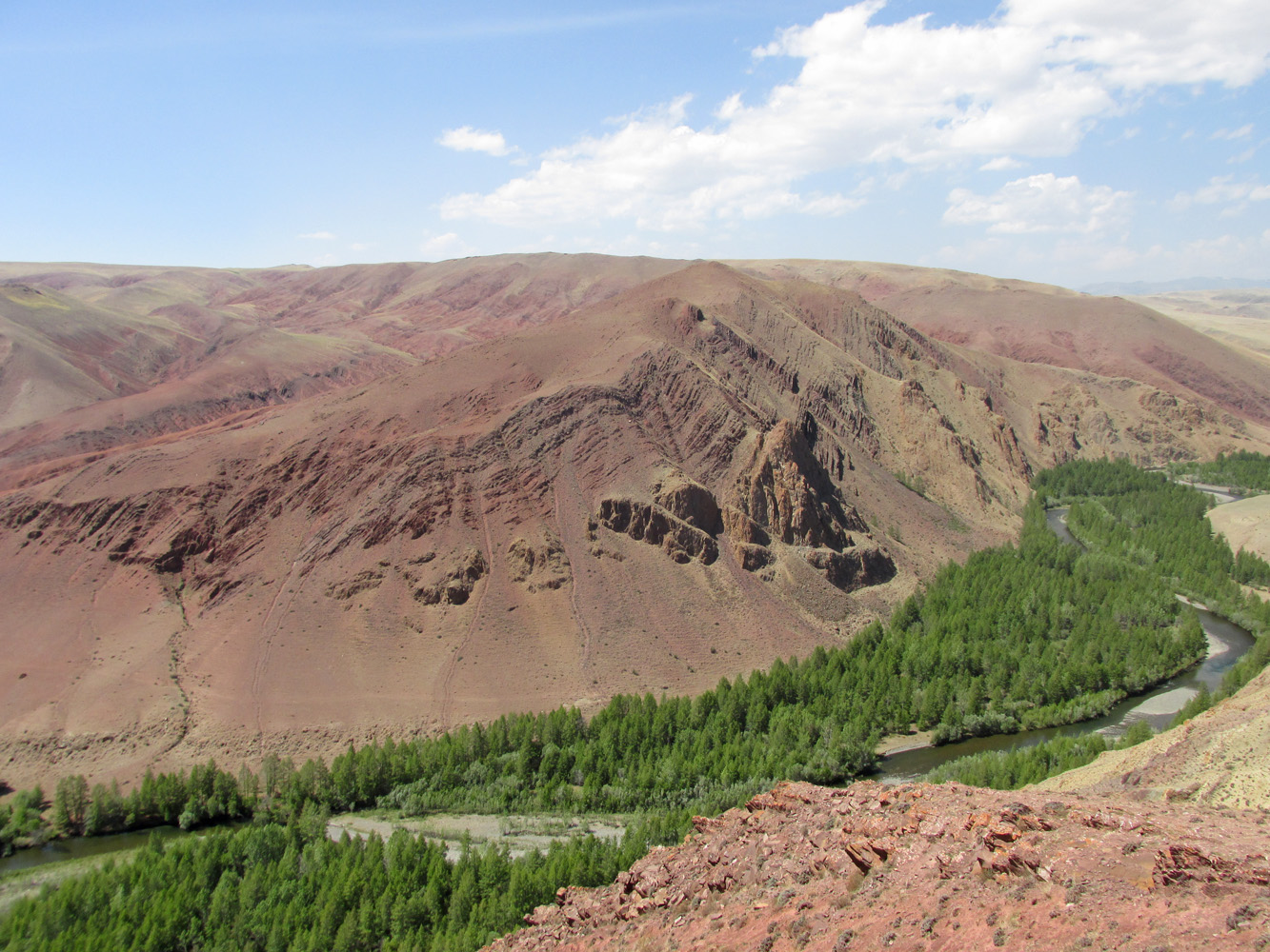 Изгиб реки Кызылшин, image of landscape/habitat.