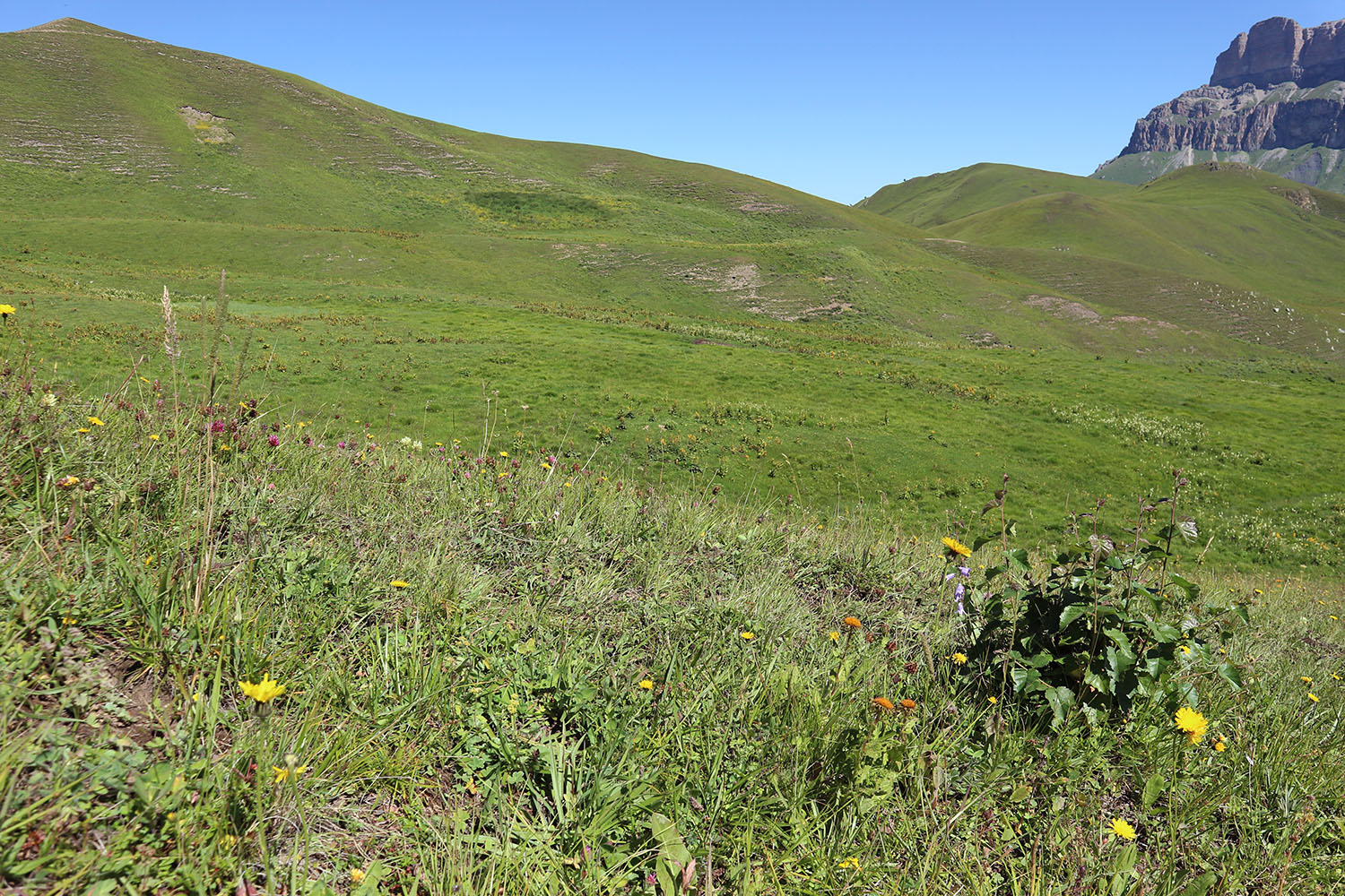 Эркедыген, image of landscape/habitat.