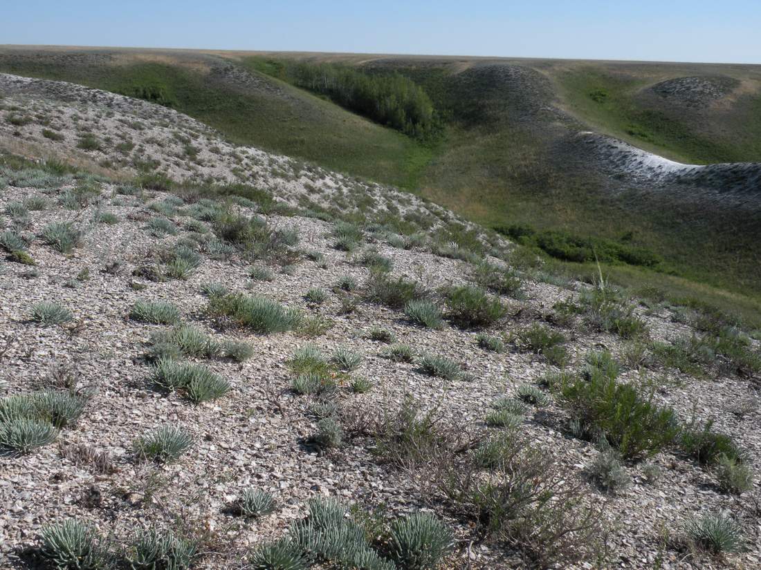 Ишкаргантау, image of landscape/habitat.