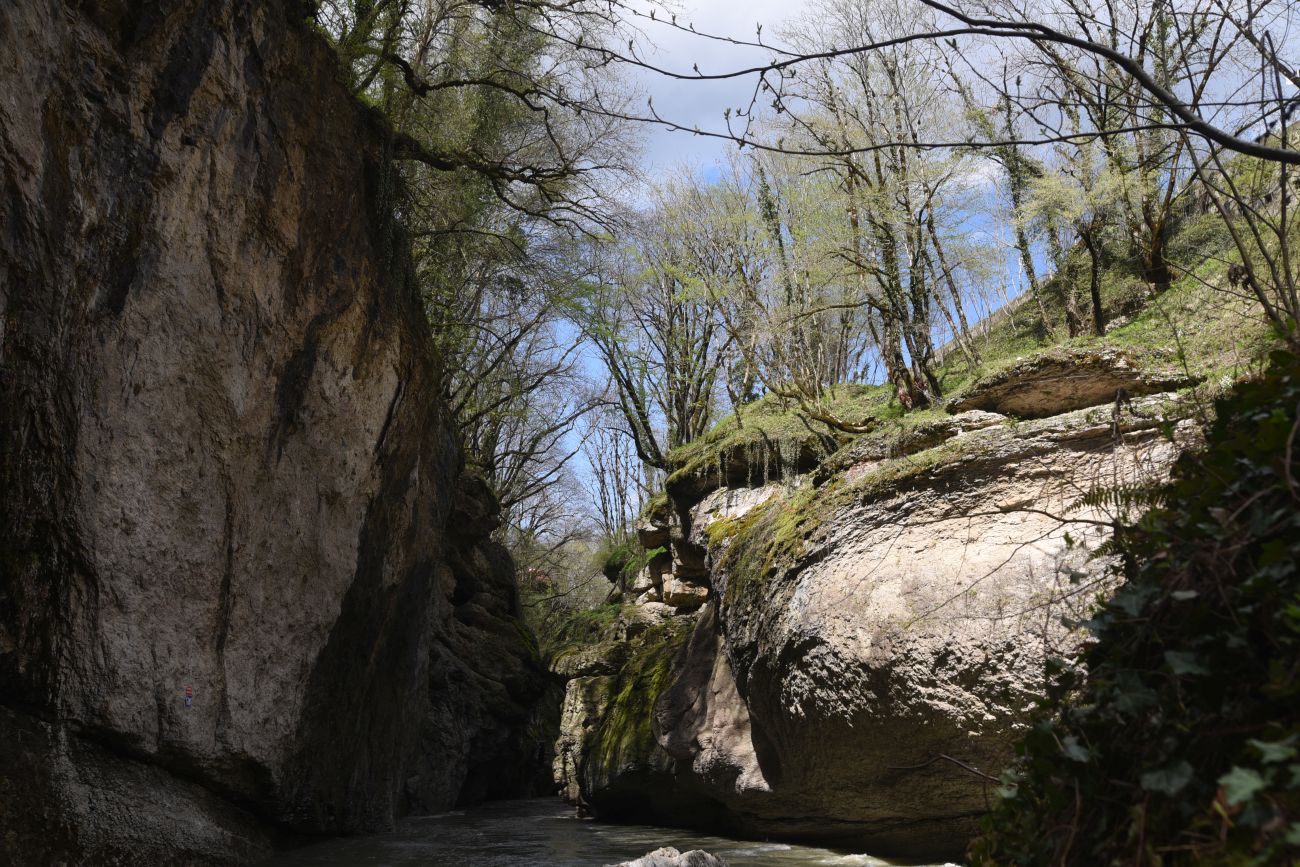 Хаджохская теснина, image of landscape/habitat.