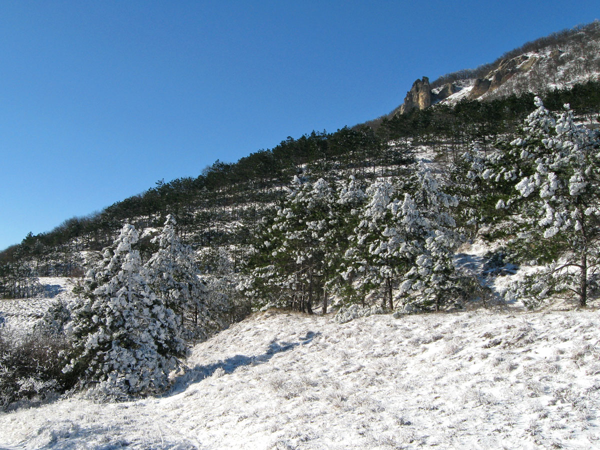 Карадаг, image of landscape/habitat.