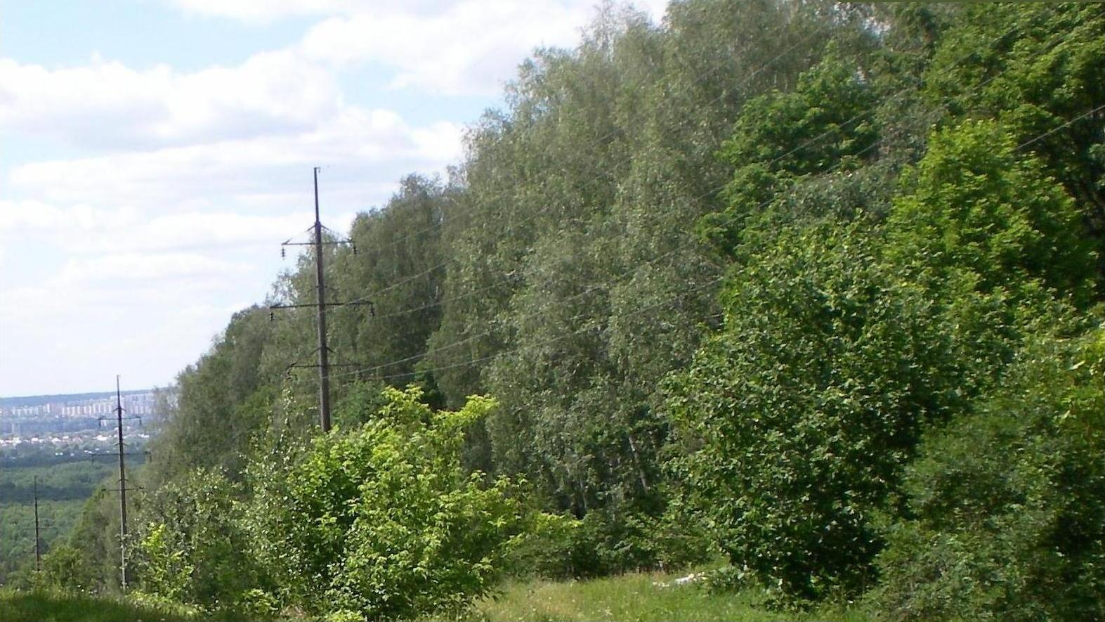 Окрестности города Заречного, изображение ландшафта.