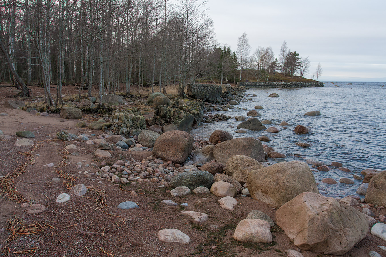 Серая Лошадь, image of landscape/habitat.