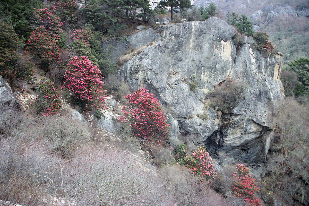 Сагарматха, image of landscape/habitat.