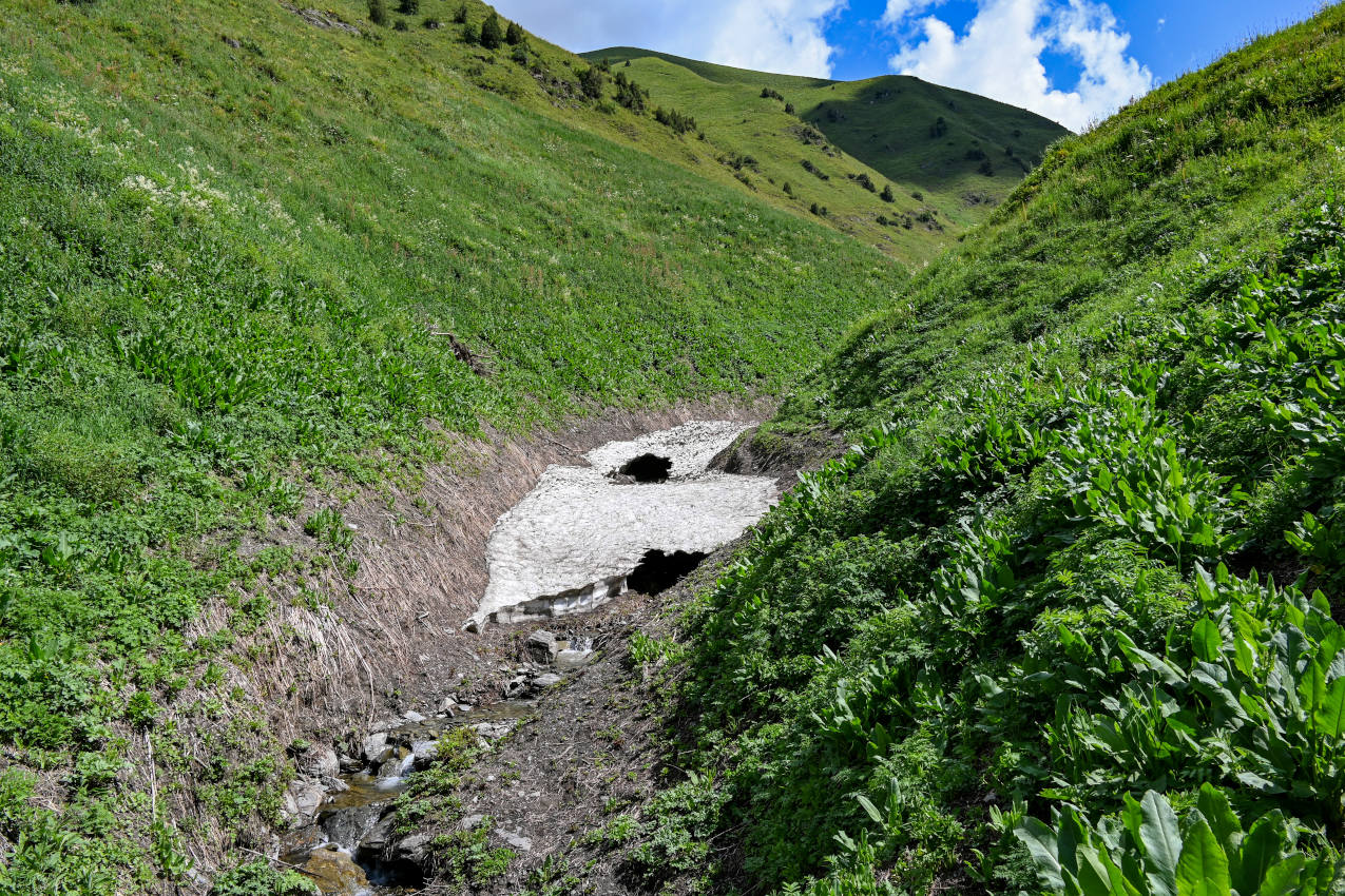 Перевал Макмал, image of landscape/habitat.