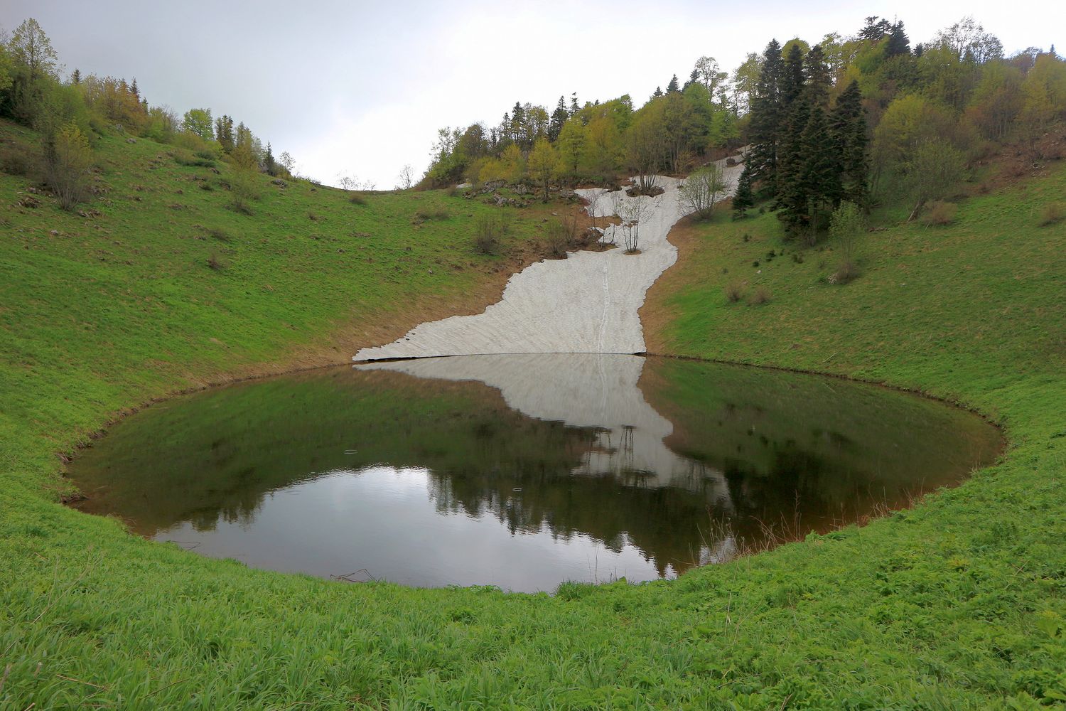 Чеше, image of landscape/habitat.