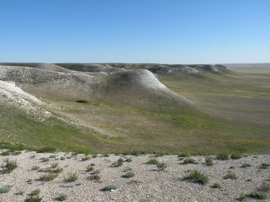 Ишкаргантау, image of landscape/habitat.