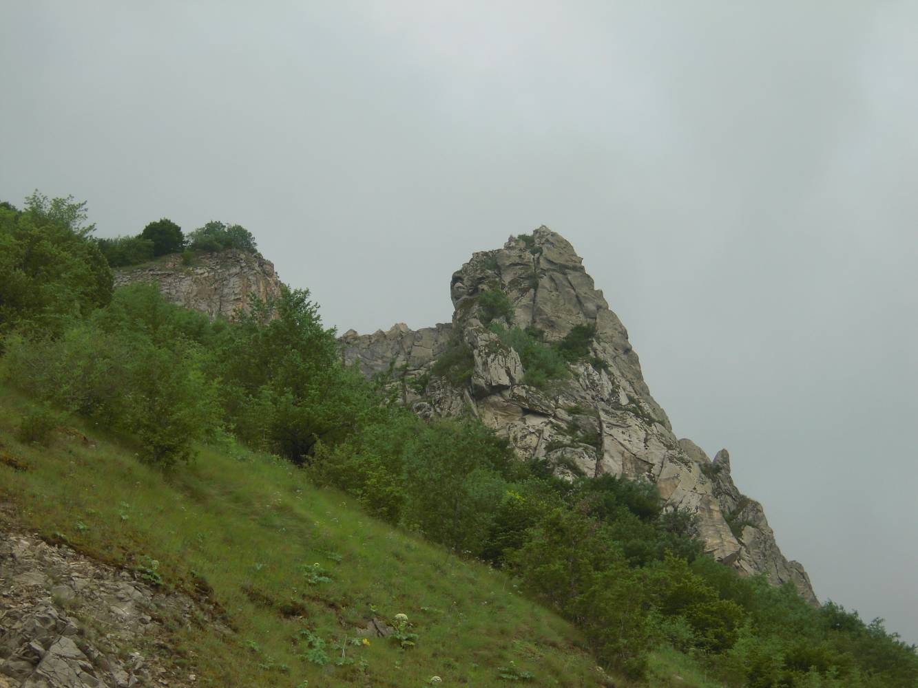 Гора Змейка, image of landscape/habitat.