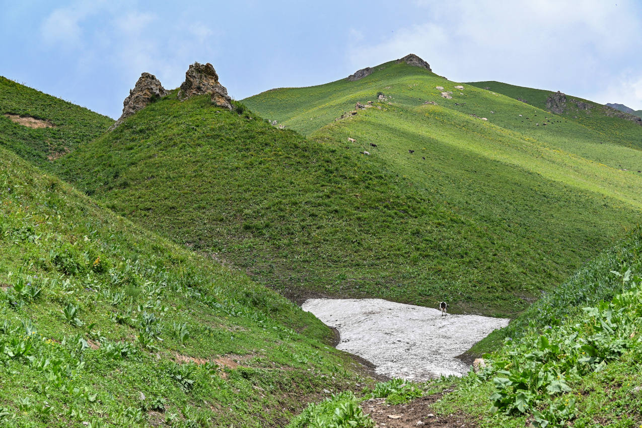 Перевал Макмал, image of landscape/habitat.