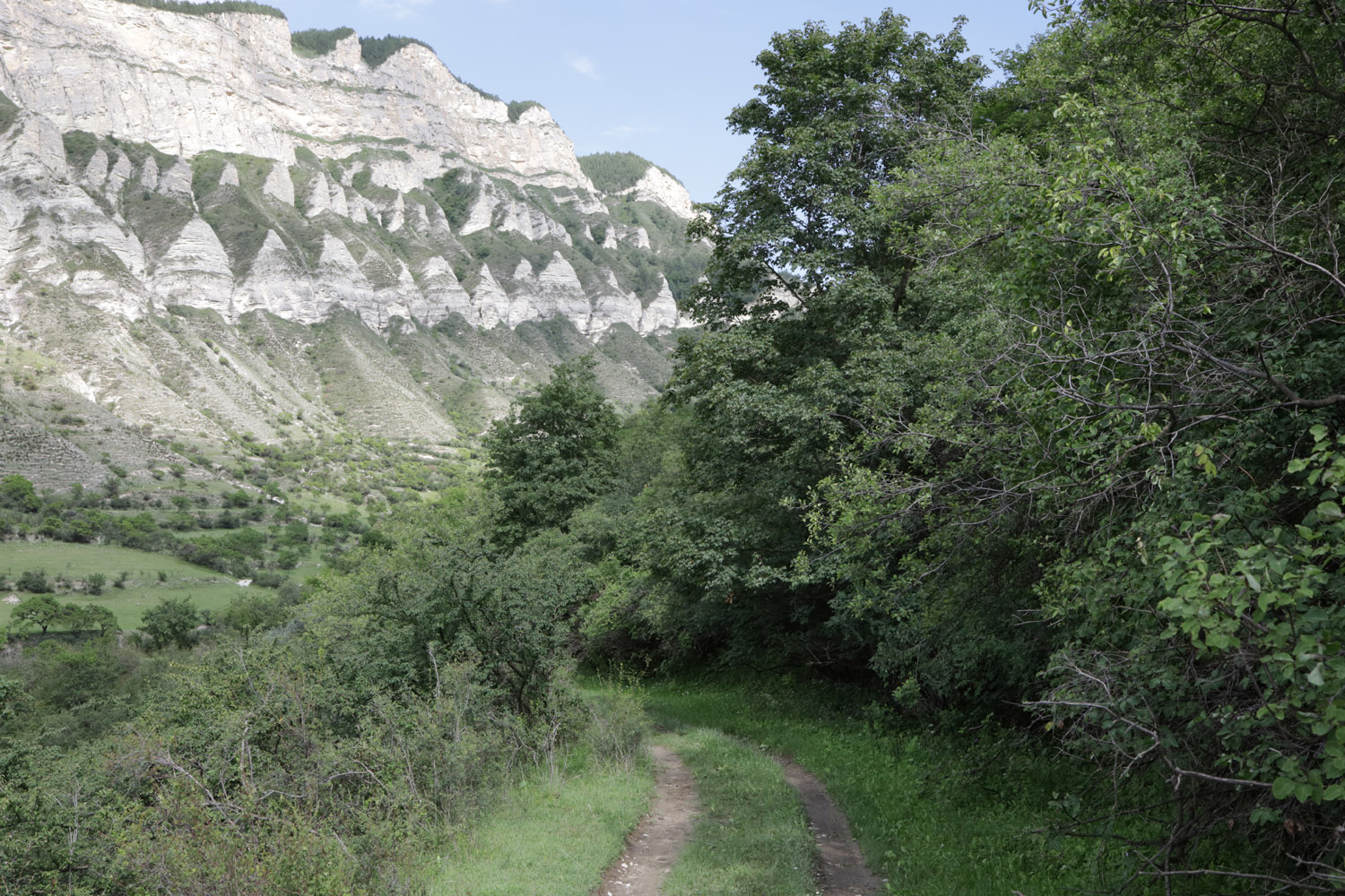 Цудахар, image of landscape/habitat.