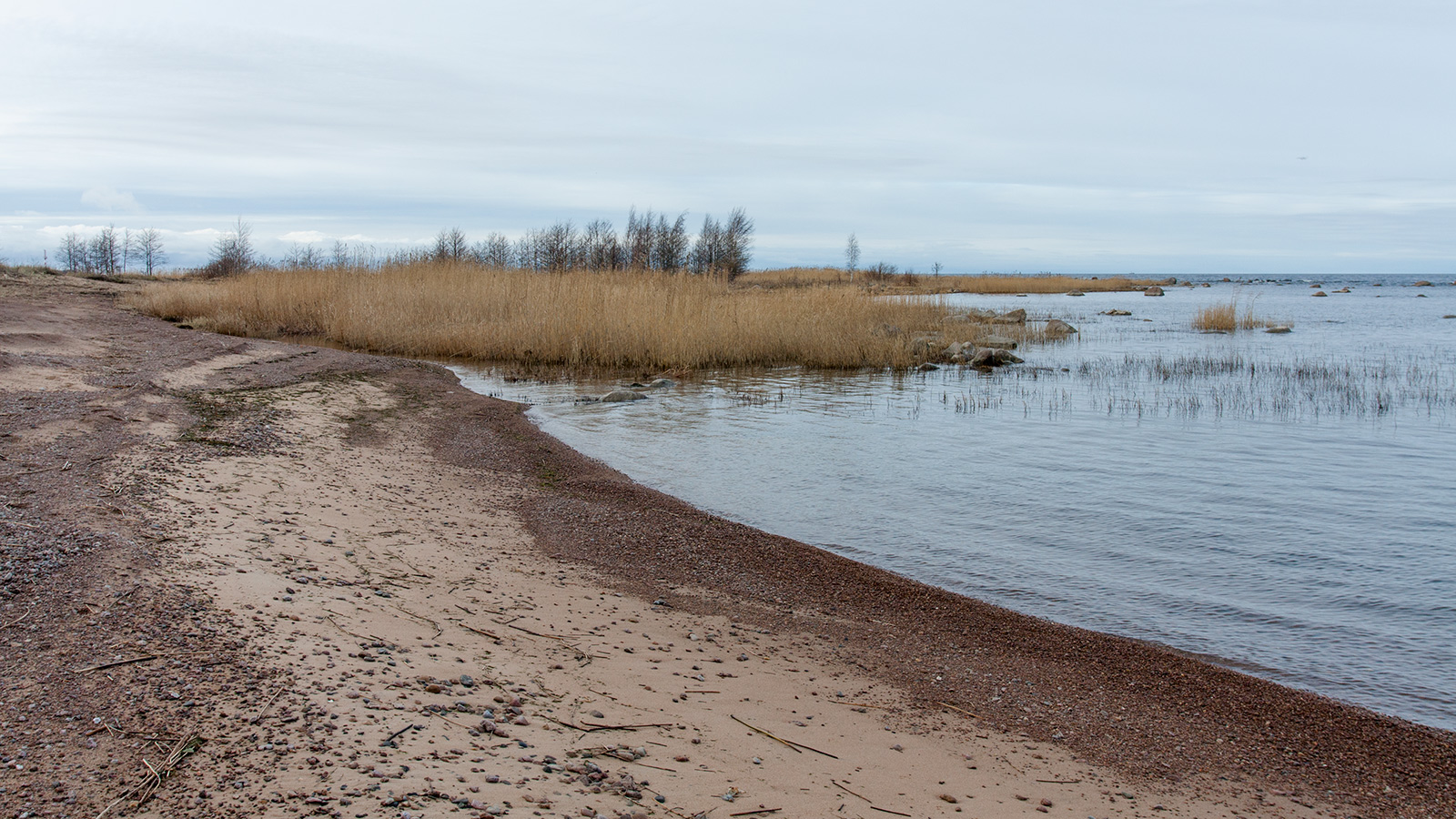 Серая Лошадь, image of landscape/habitat.