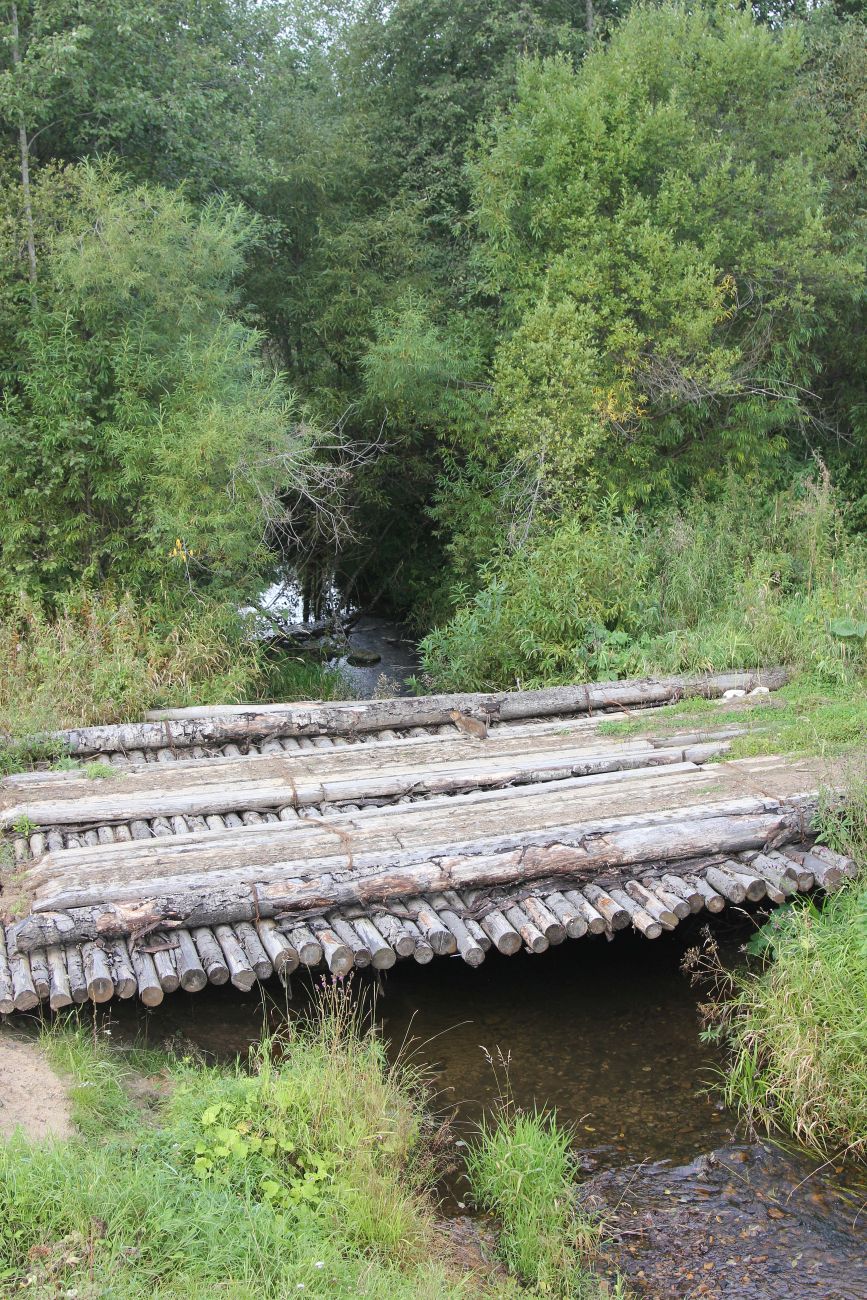 Окрестности деревни Бурдово, image of landscape/habitat.