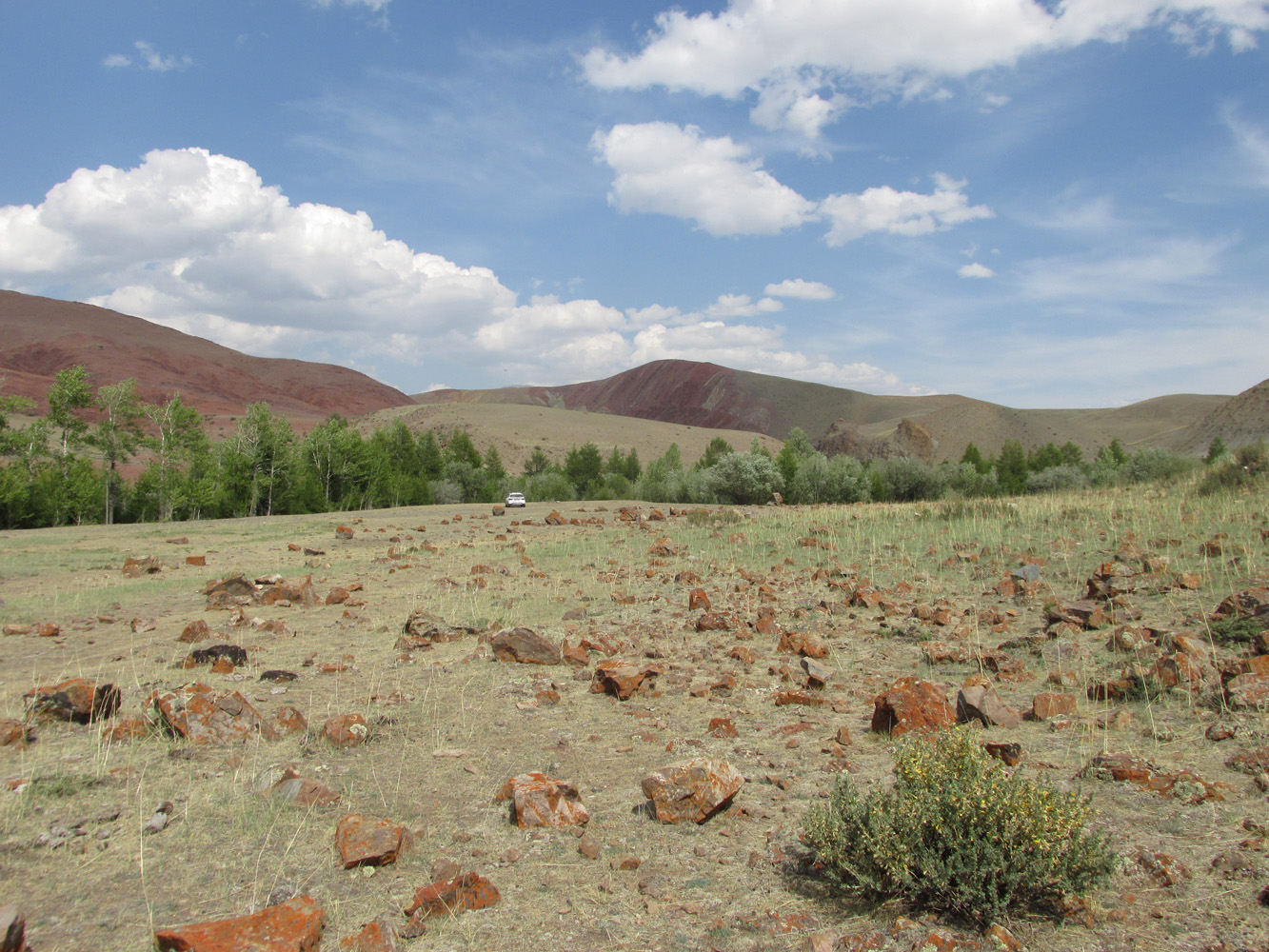 Изгиб реки Кызылшин, image of landscape/habitat.