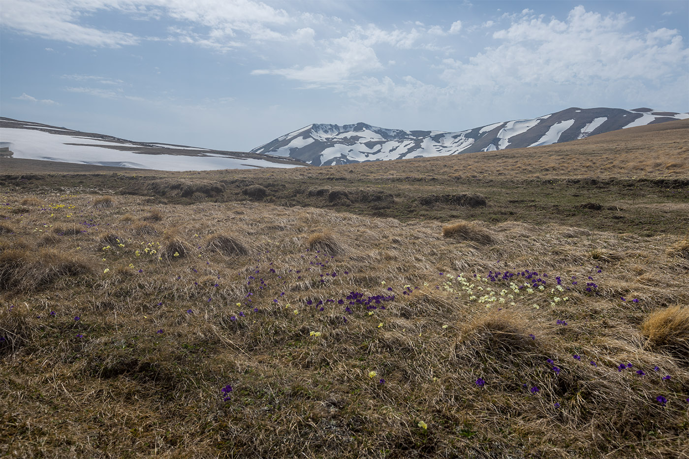 Лагонаки, image of landscape/habitat.