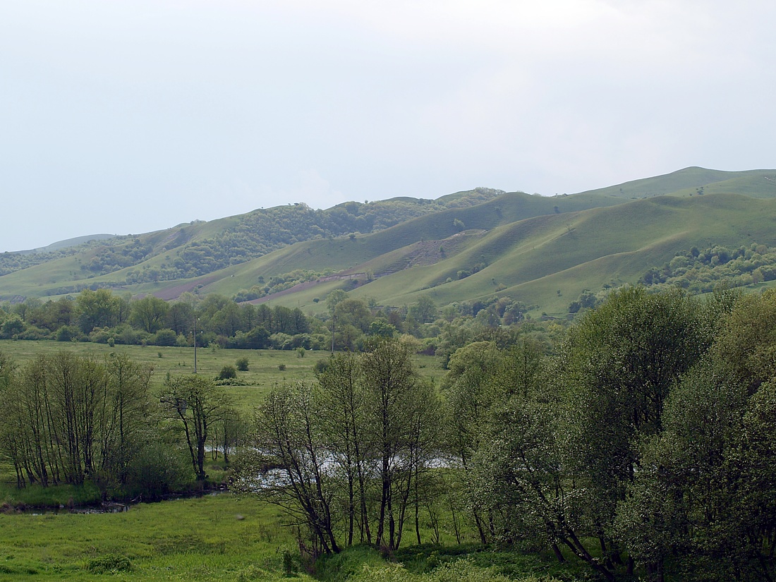 Север Осетинской равнины, image of landscape/habitat.