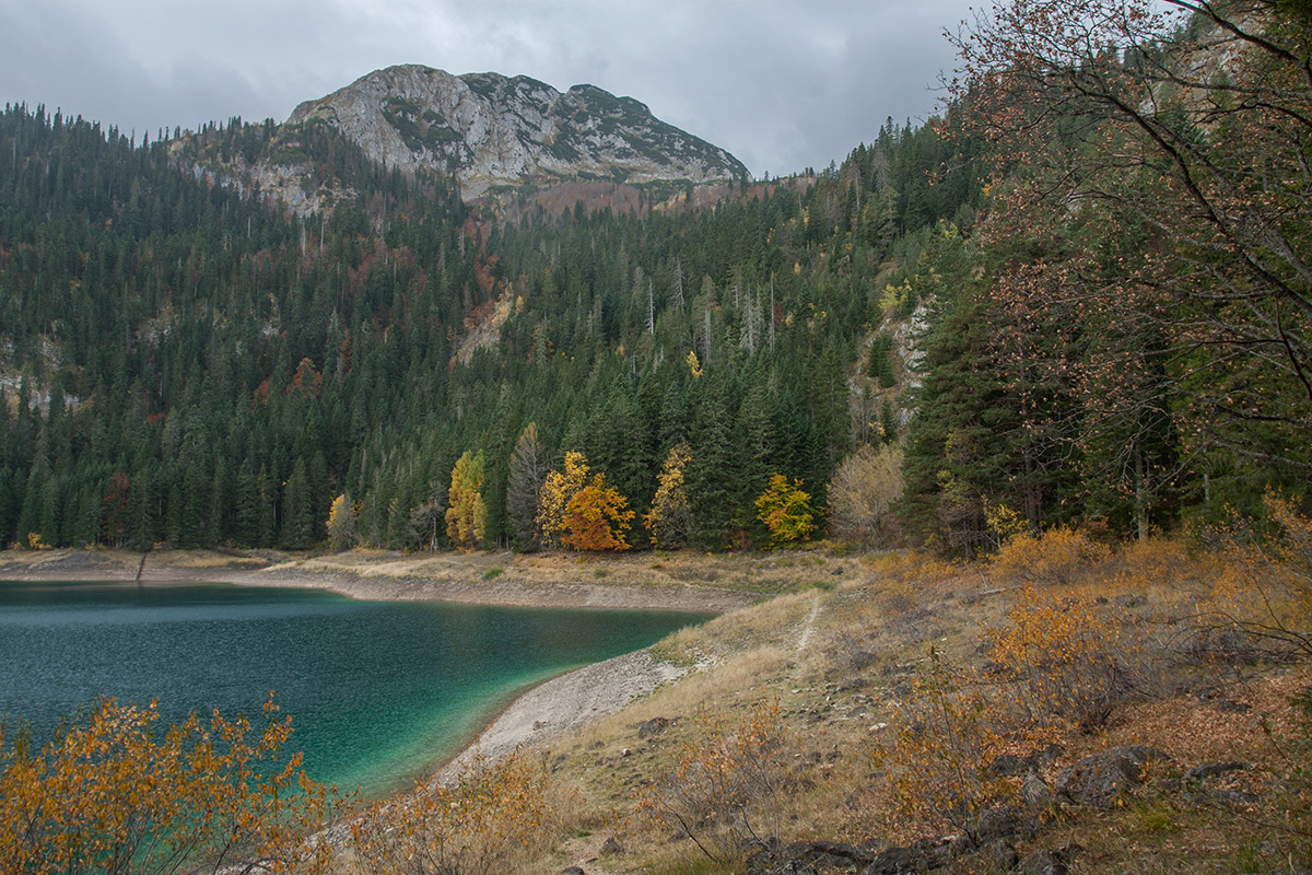 Чёрное озеро, image of landscape/habitat.