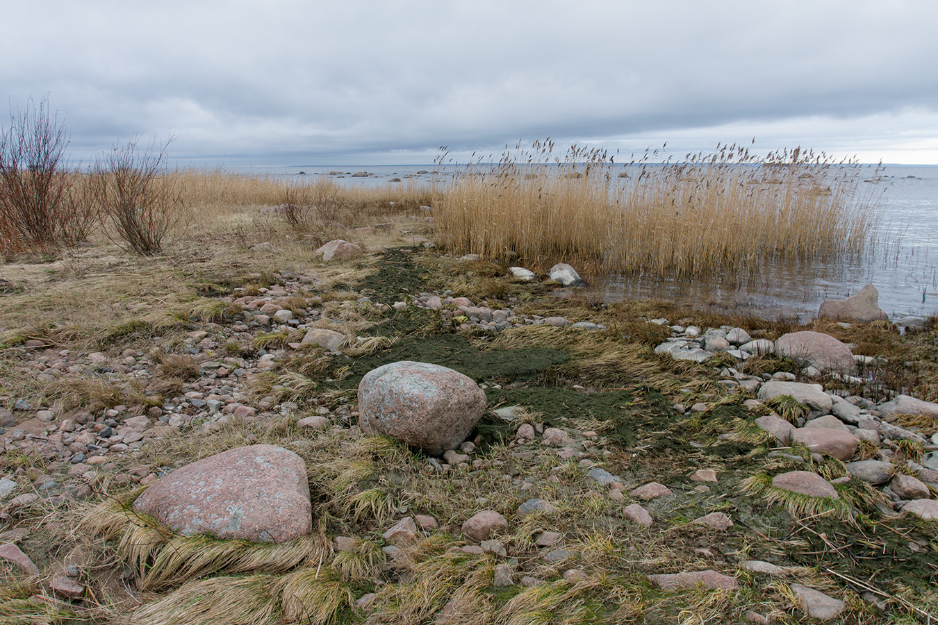 Серая Лошадь, image of landscape/habitat.