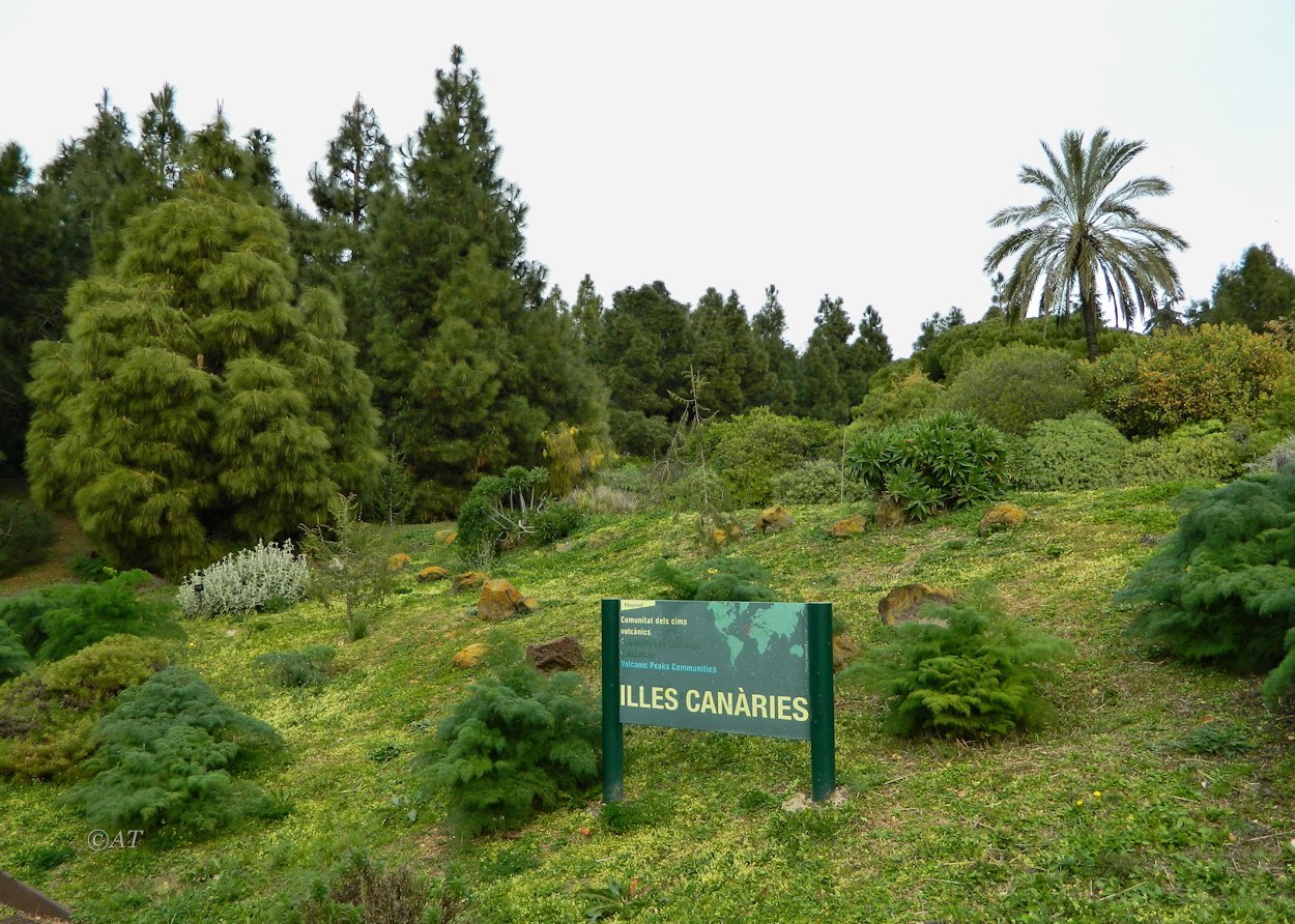 Ботанический сад Барселоны, изображение ландшафта.