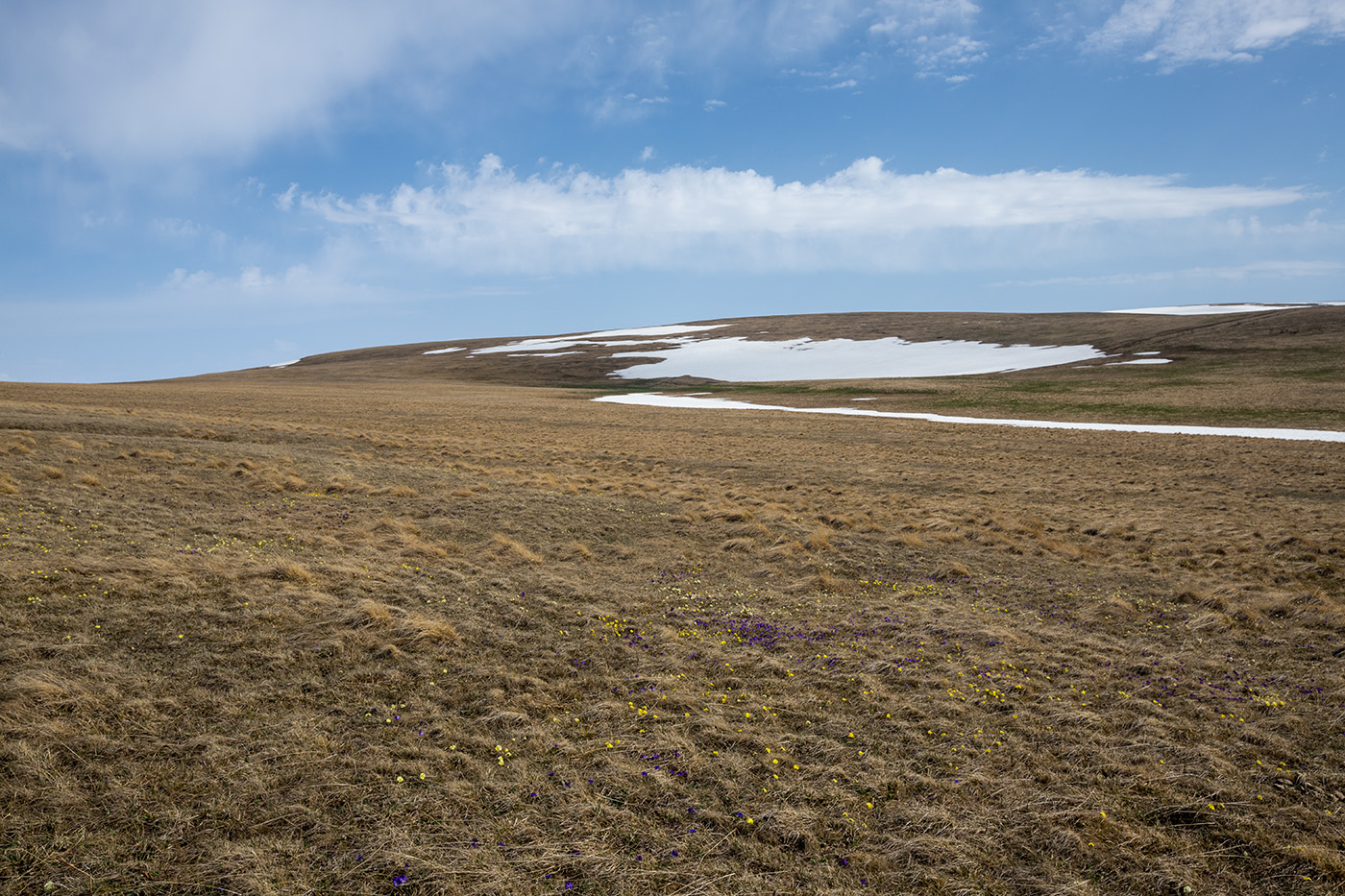 Лагонаки, image of landscape/habitat.