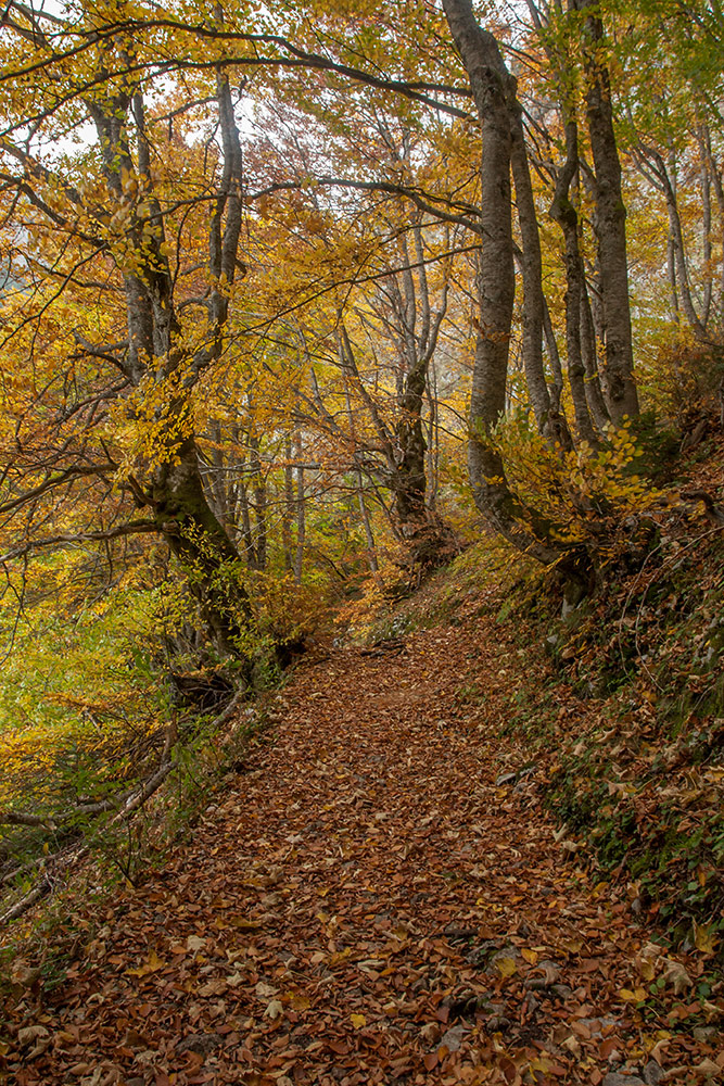 Чёрное озеро, image of landscape/habitat.