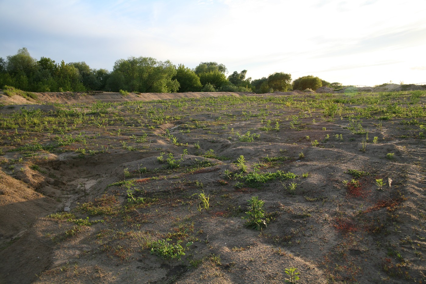 Берег р. Ока у г. Серпухов, image of landscape/habitat.