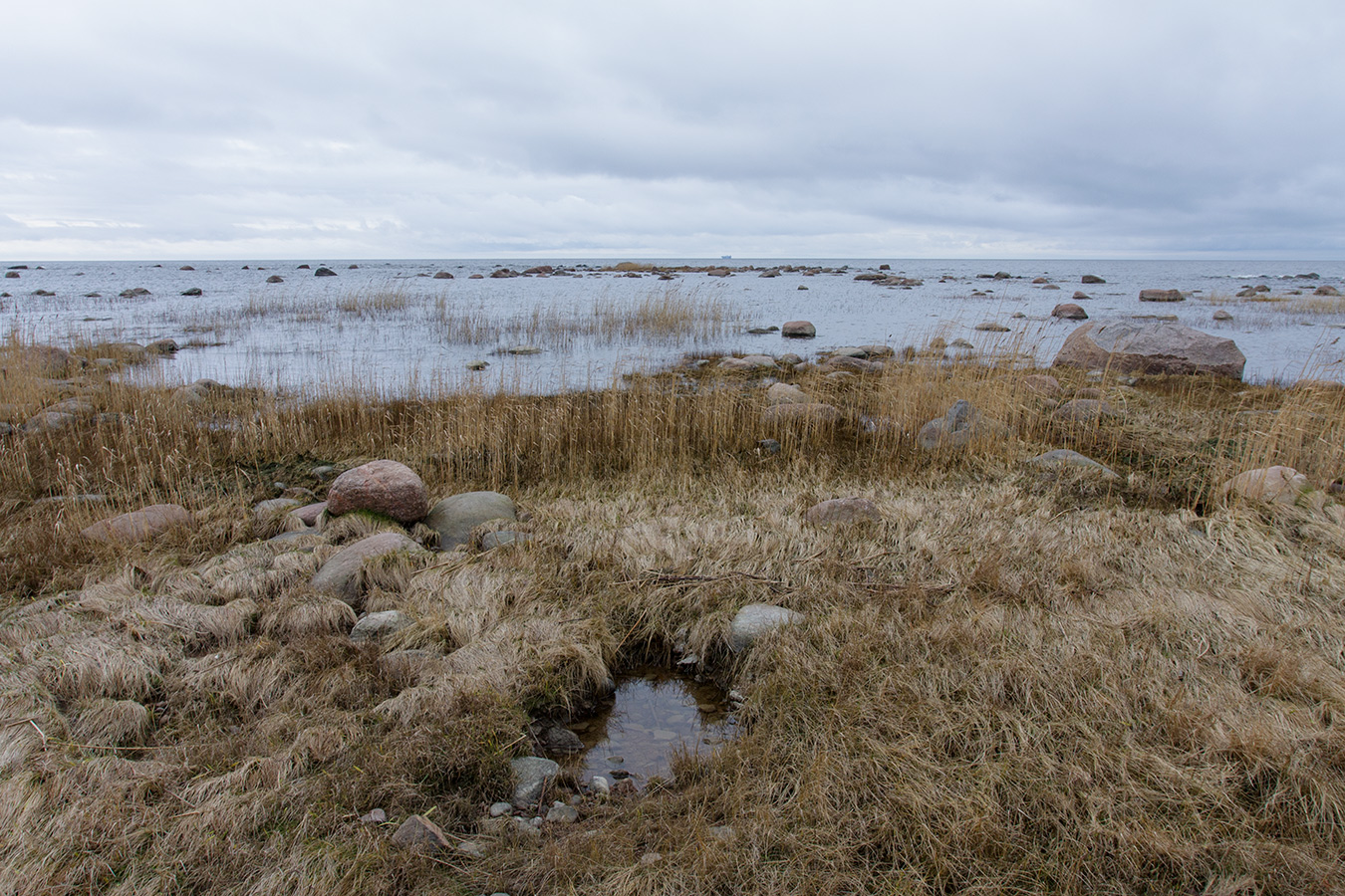 Серая Лошадь, image of landscape/habitat.