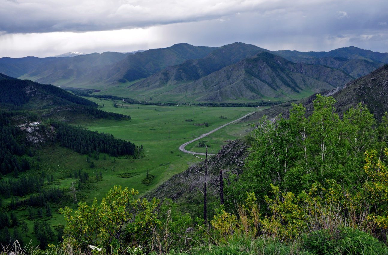 Перевал Чике-Таман, image of landscape/habitat.