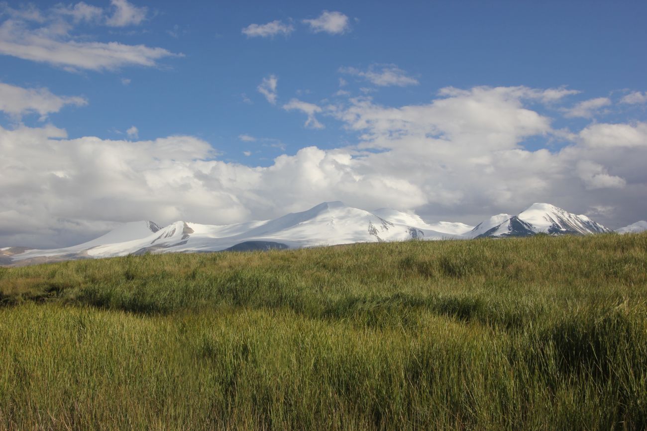 Окрестности Гусиного озера, image of landscape/habitat.