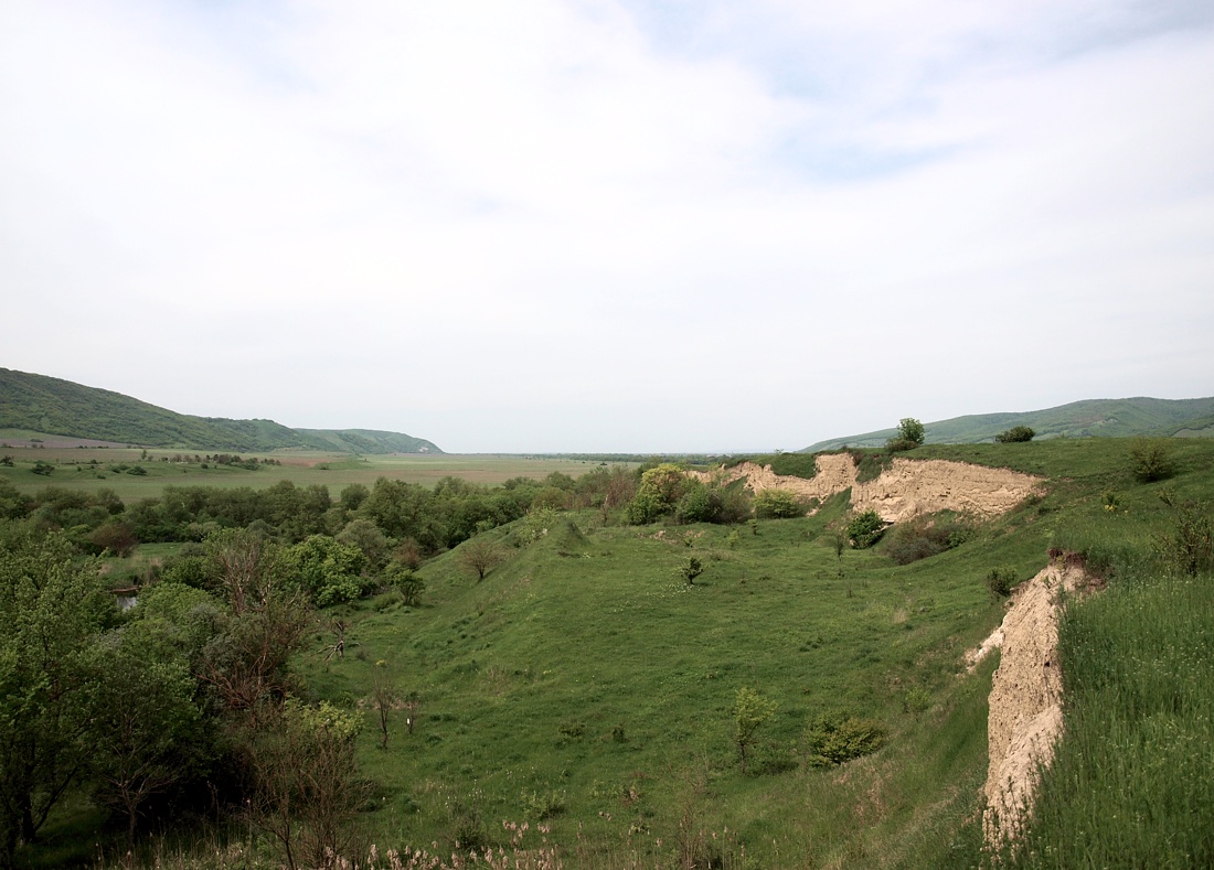 Север Осетинской равнины, image of landscape/habitat.