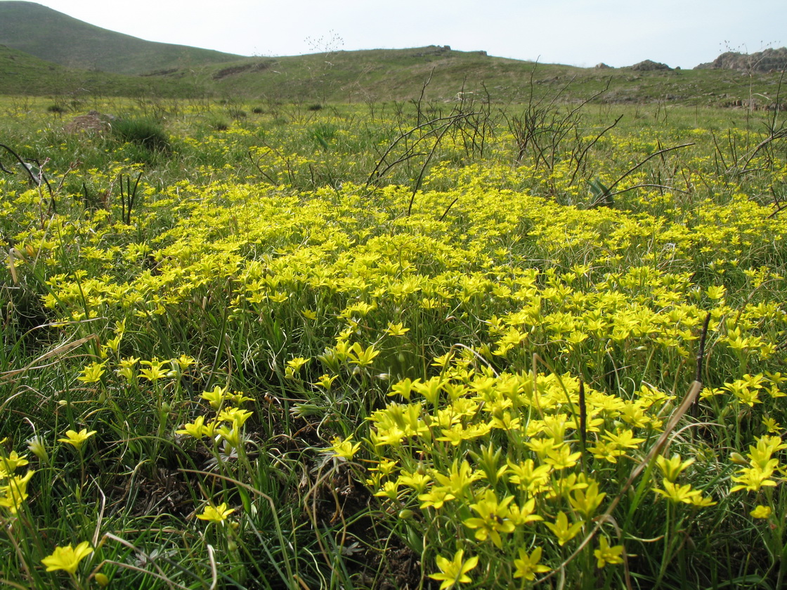 Улькунбурултау (север), image of landscape/habitat.