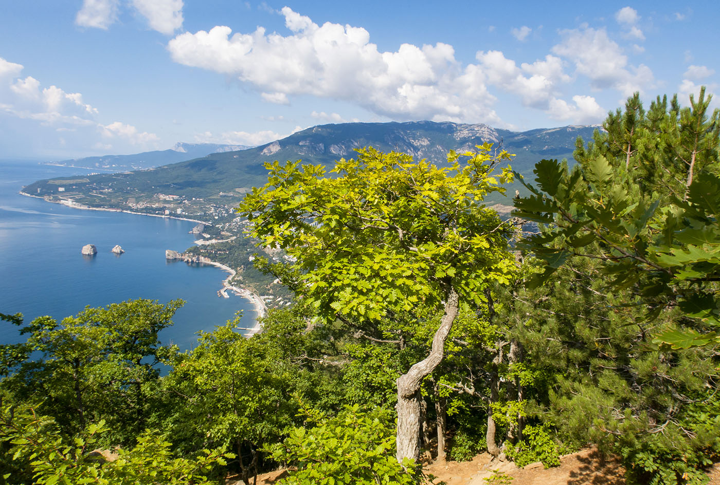 Аюдаг, image of landscape/habitat.