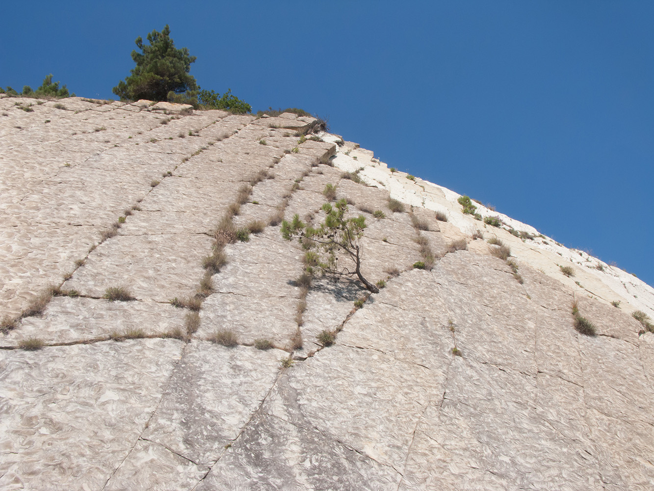 Дооб, image of landscape/habitat.