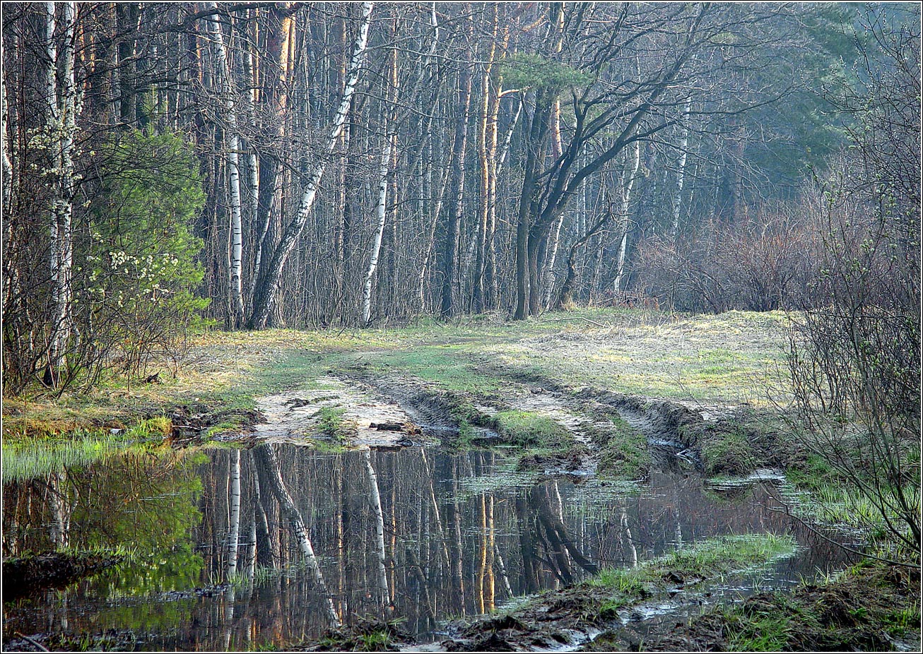 Окрестности Хрипани, image of landscape/habitat.