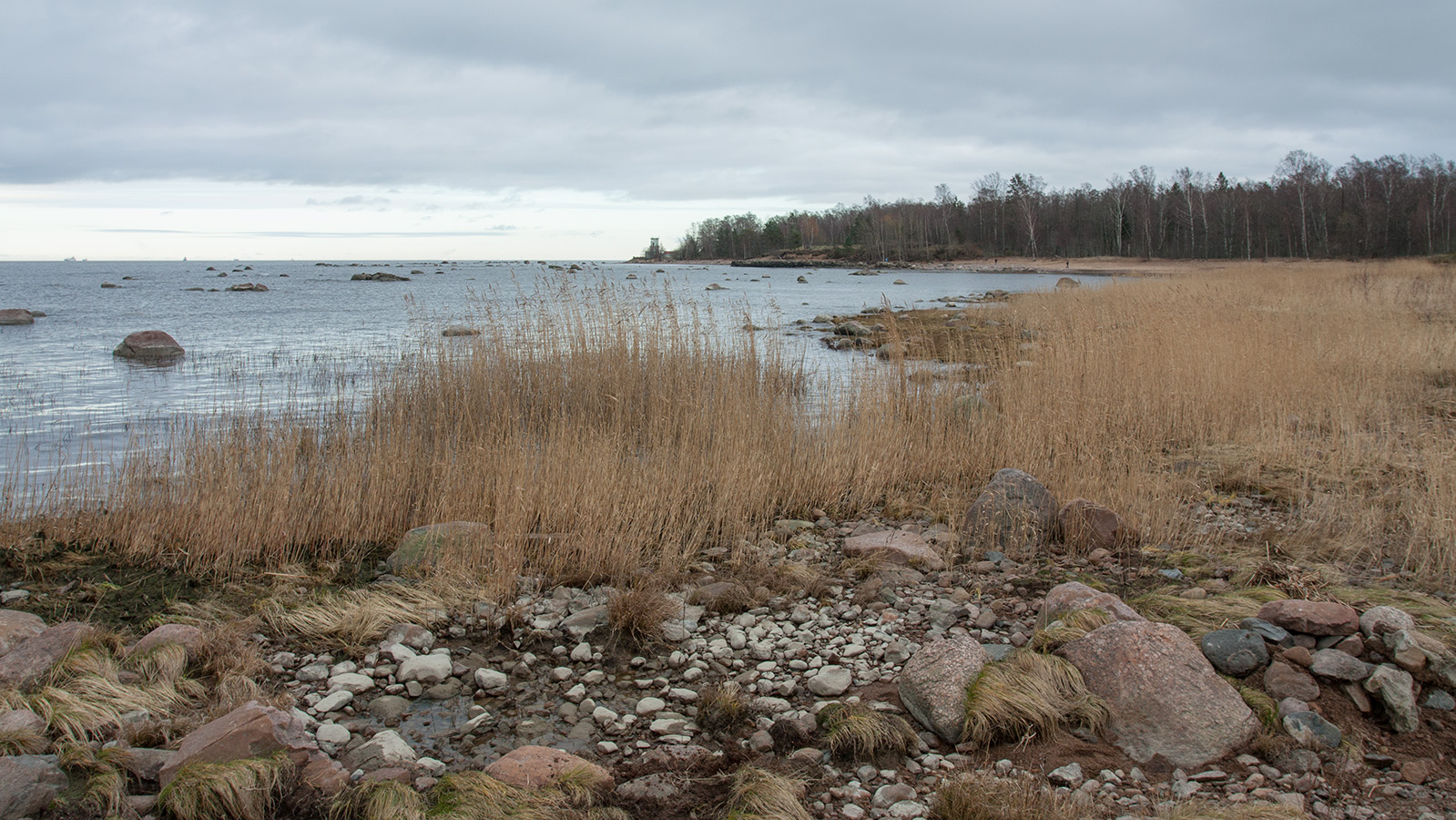 Серая Лошадь, image of landscape/habitat.