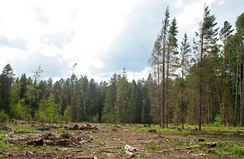 Иж-Бобья, image of landscape/habitat.